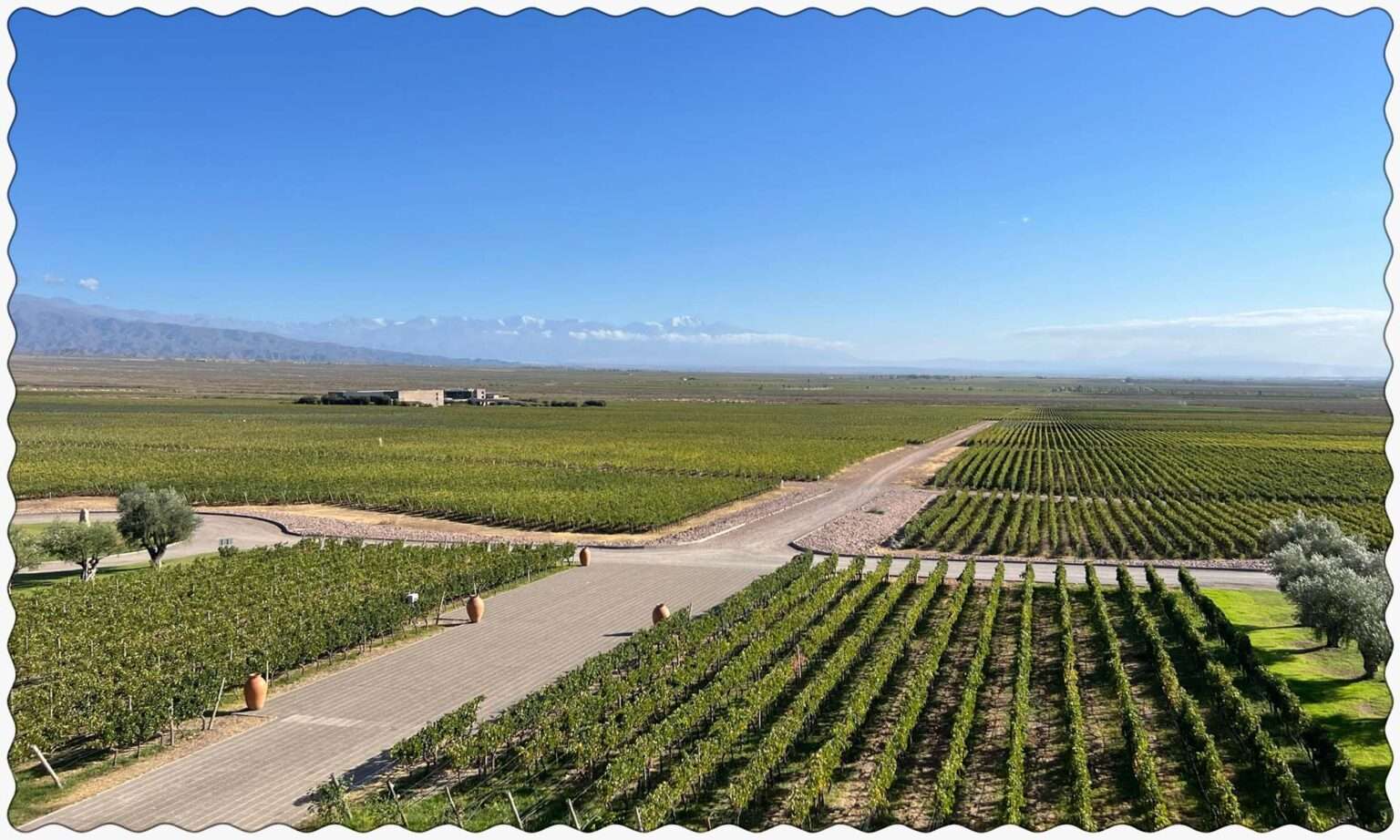View of the vineyards and the mountains from the Bodega Monteviejo in Mendoza