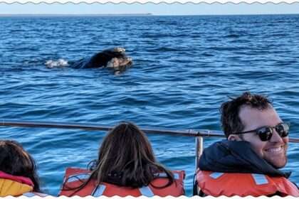 Three people on a boat looking at a whale surfacing