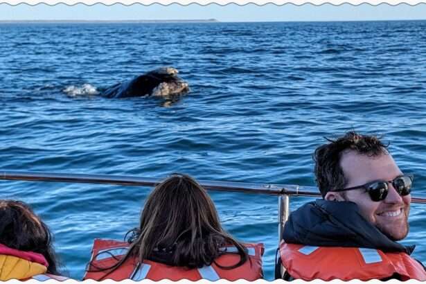 Three people on a boat looking at a whale surfacing