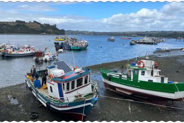 Fishing boats in the Dalcahue harbor of Chiloe during low tide