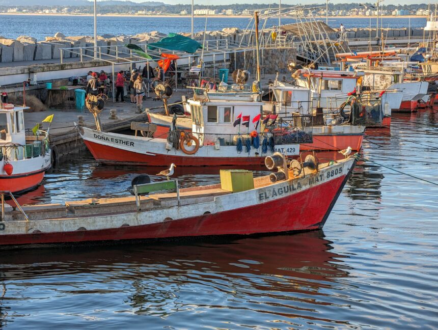 Red wooden fishing boats in a dock - Buenos Aires to Montevideo to Punta del Este