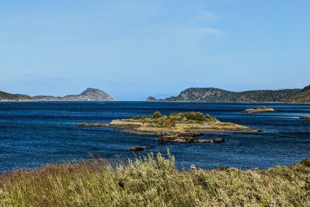 Bahía Lapataia at the end of Route 3 in Tierra del Fuego National Park, Argentina