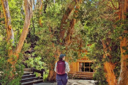 A person standing on a wood deck surrounded by trees A view overlooking a lake surrounded by hills and mountains with forests - what to do in bariloche