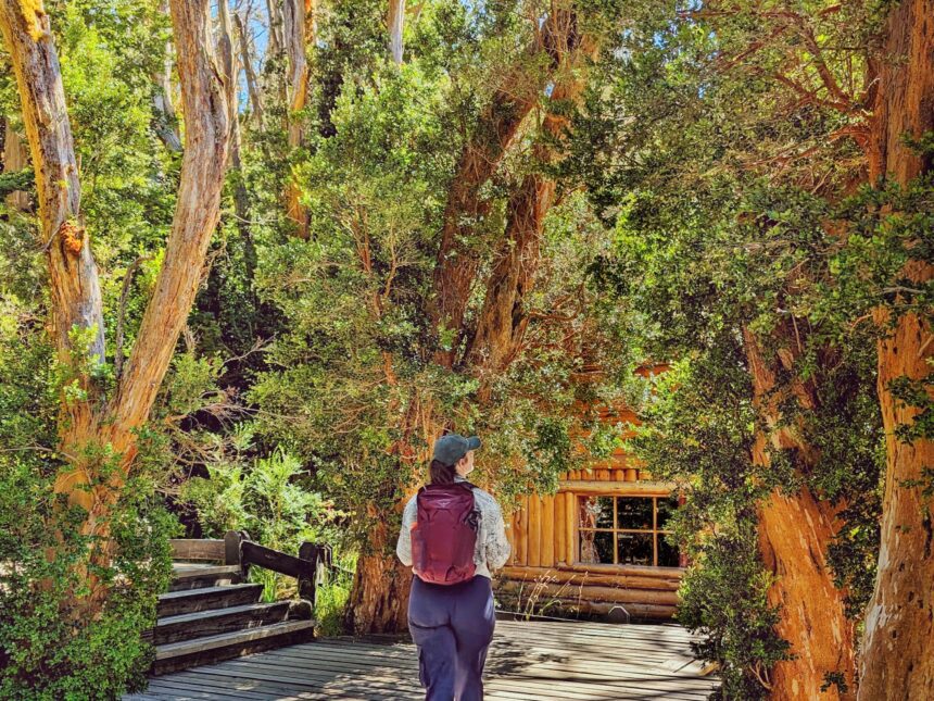 A person standing on a wood deck surrounded by trees A view overlooking a lake surrounded by hills and mountains with forests - what to do in bariloche