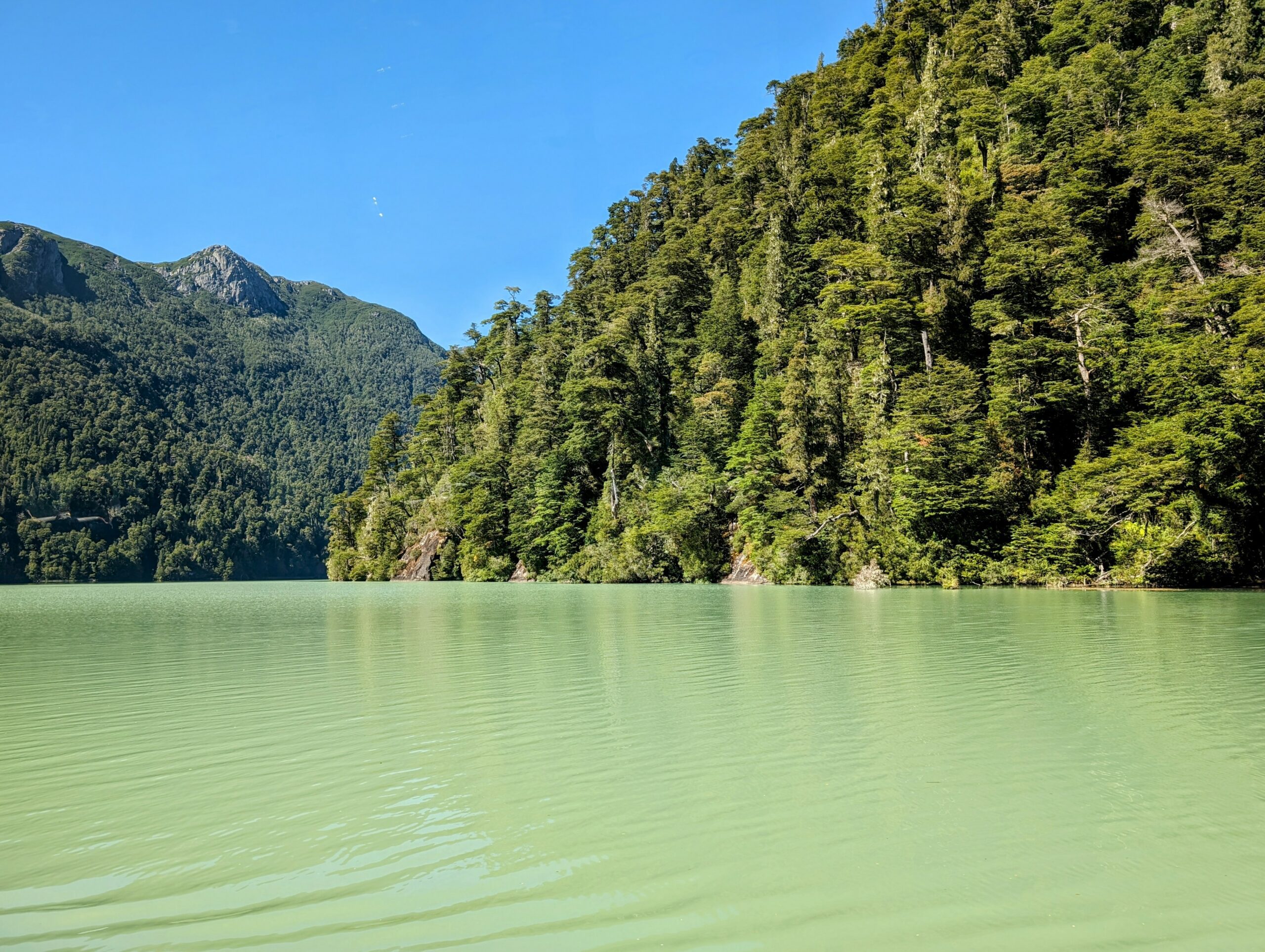 A milky green lake surrounded by forests - Cruce Andino