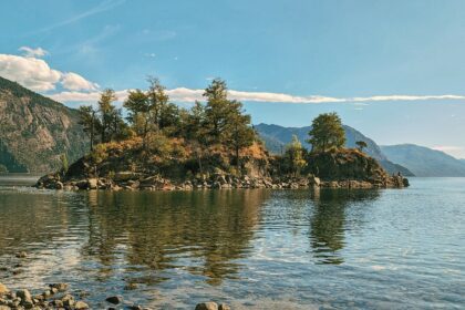 Trees and the rocky coastline of a lake - Route of the Seven Lakes - traveling to Patagonia