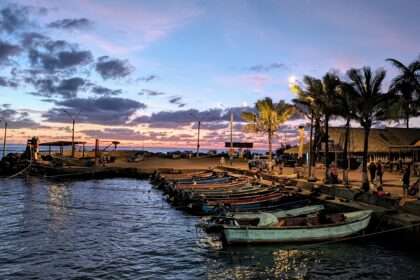A sun setting over a rocky dock with palm trees - Easter Island itinerary
