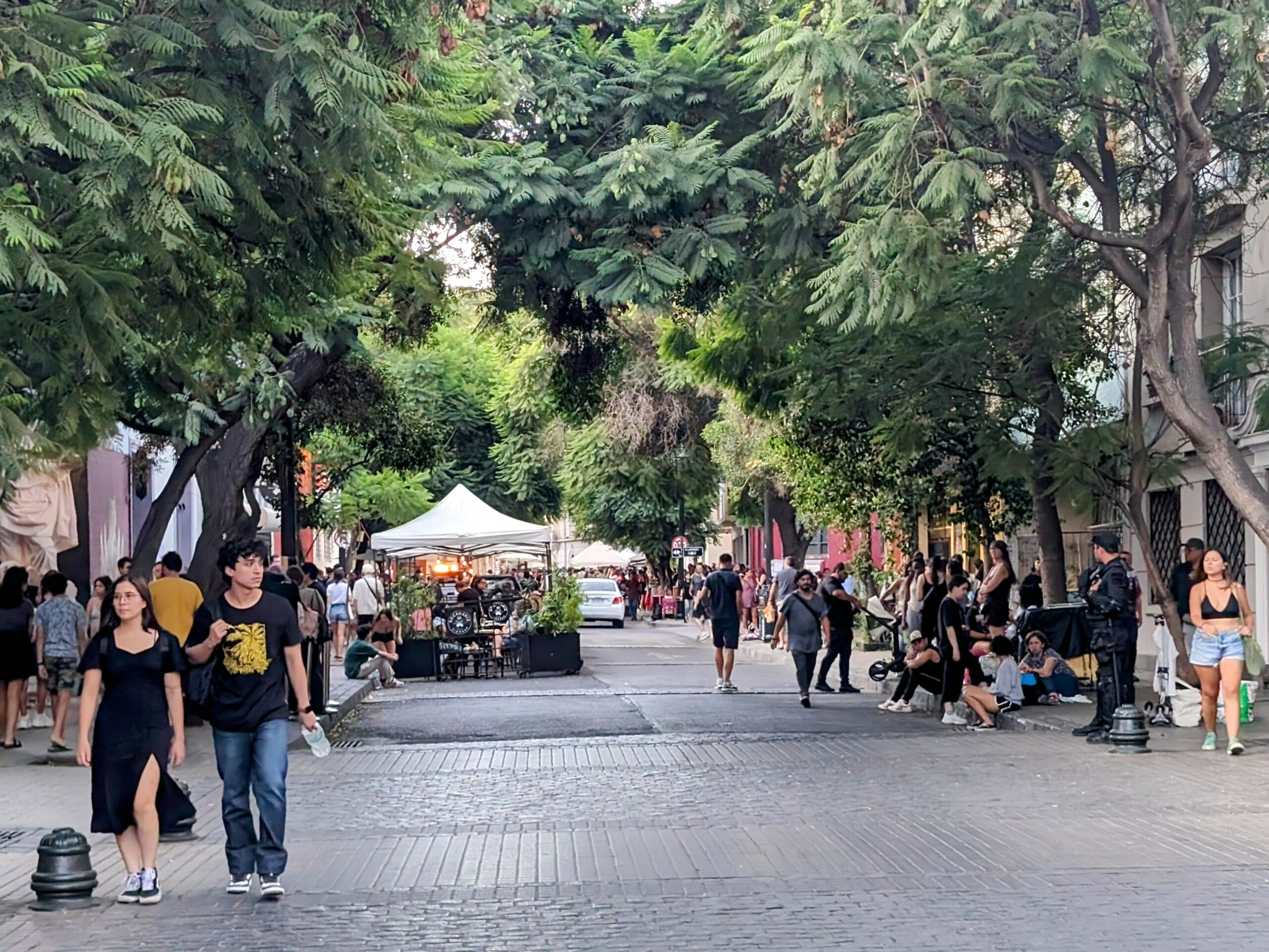 A tree-lined street in Santiago - Things to do in Santiago