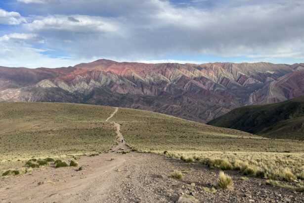 A grassy hill in front of a colorful mountain