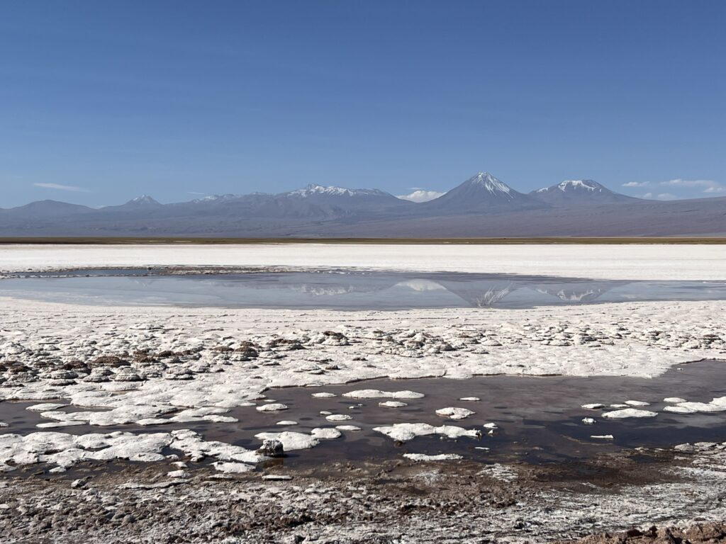 A lake in the middle of a salty landscape in the Atacama desert