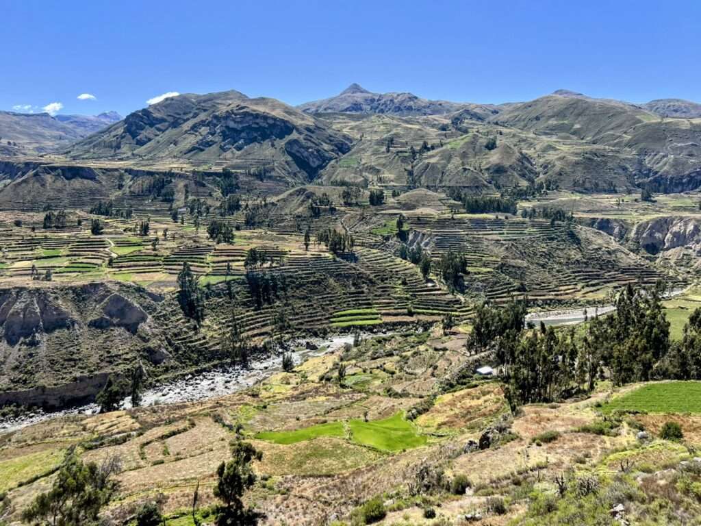 The pre-Incan farming terraces in the Colca Canyon above the river that are still used today