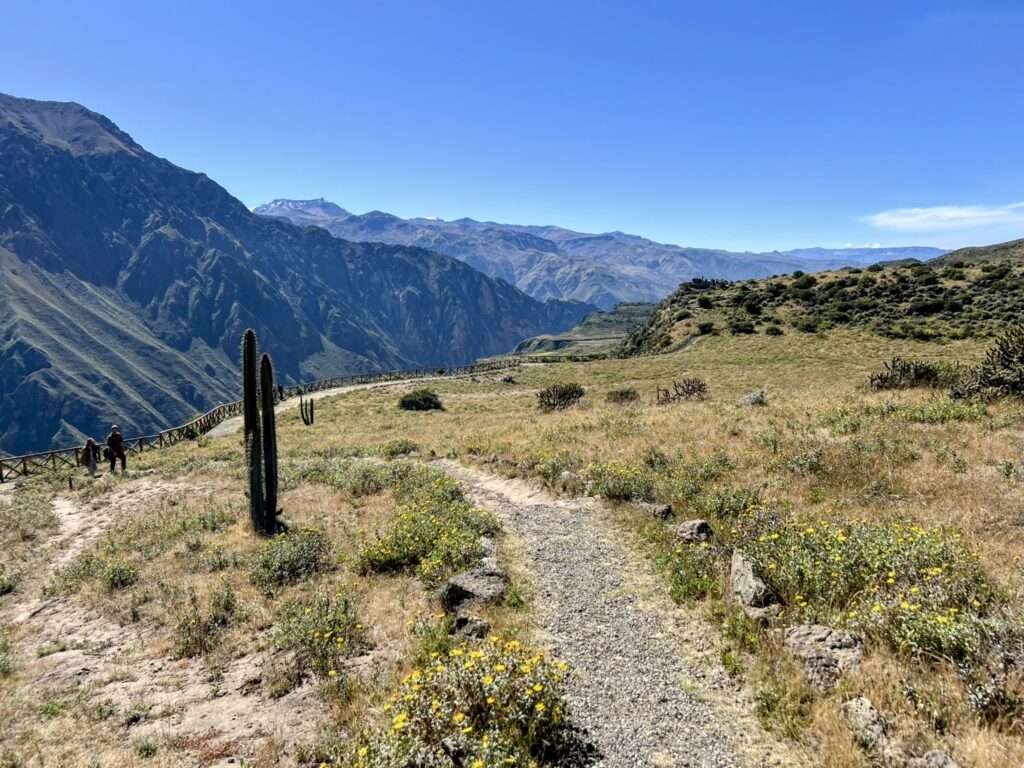 A hiking path leading into the Colca Canyon and one of the reasons to go from Arequipa to Colca Canyon