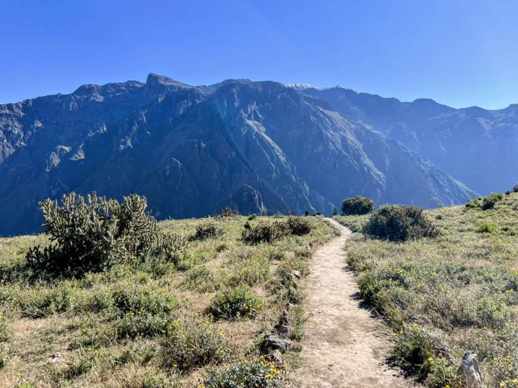 A hiking path leading into the Colca Canyon outside of Arequipa