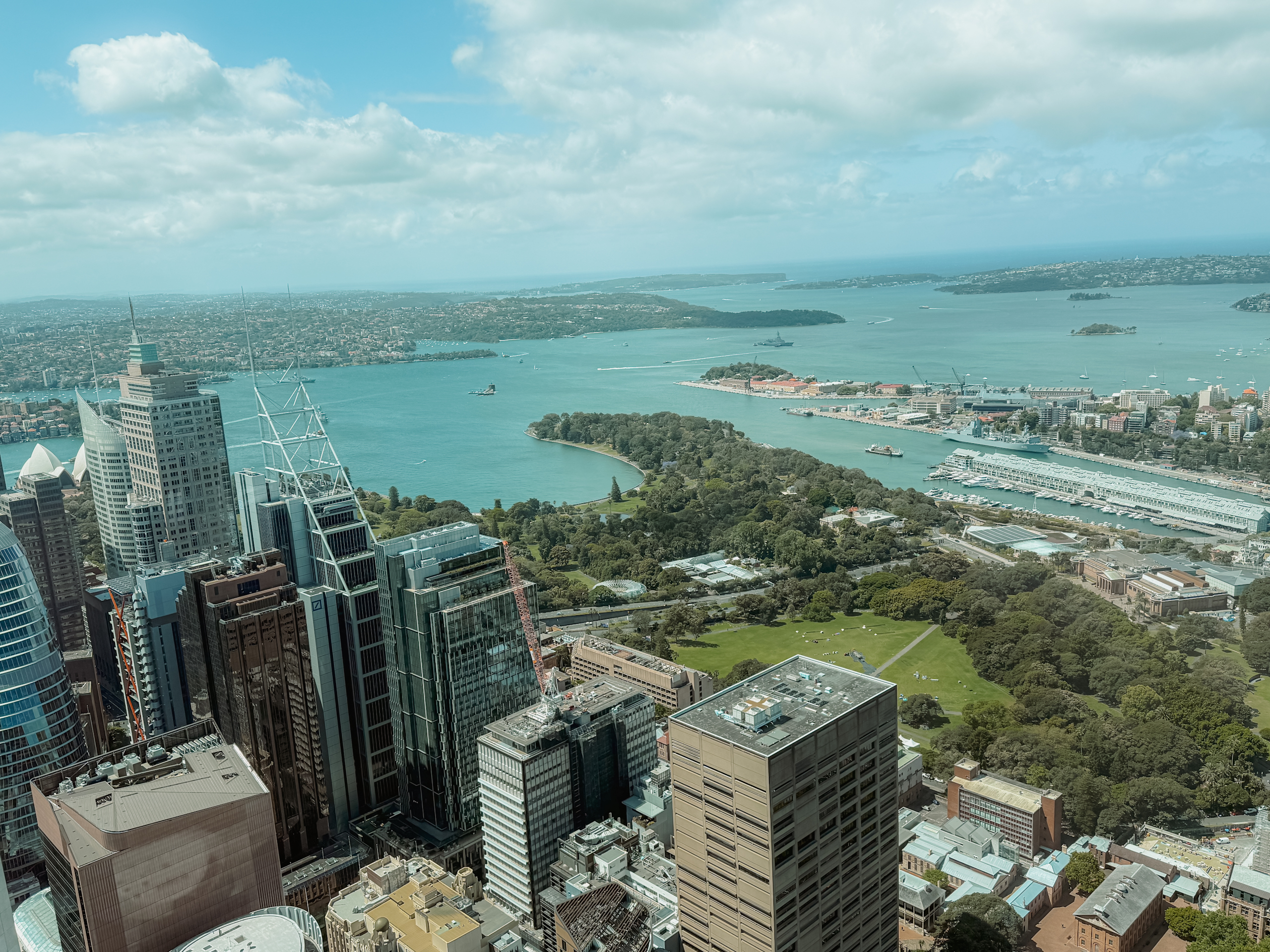 View from a tower looking into the harbor of a city - top things to do in Sydney