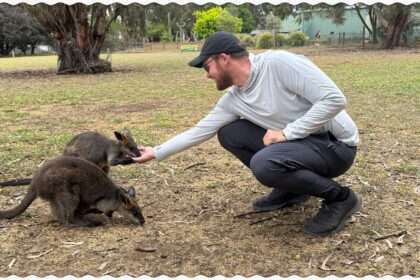 A man feeding two wallabies out of his hand when visiting Kangaroo Island