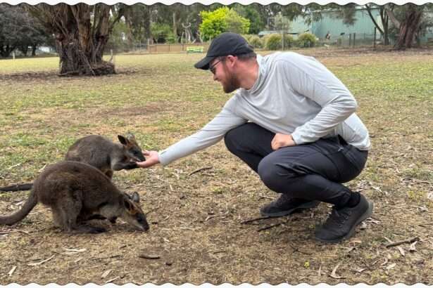 A man feeding two wallabies out of his hand when visiting Kangaroo Island