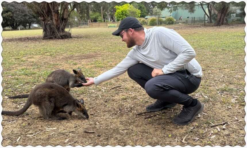 A man feeding two wallabies out of his hand when visiting Kangaroo Island