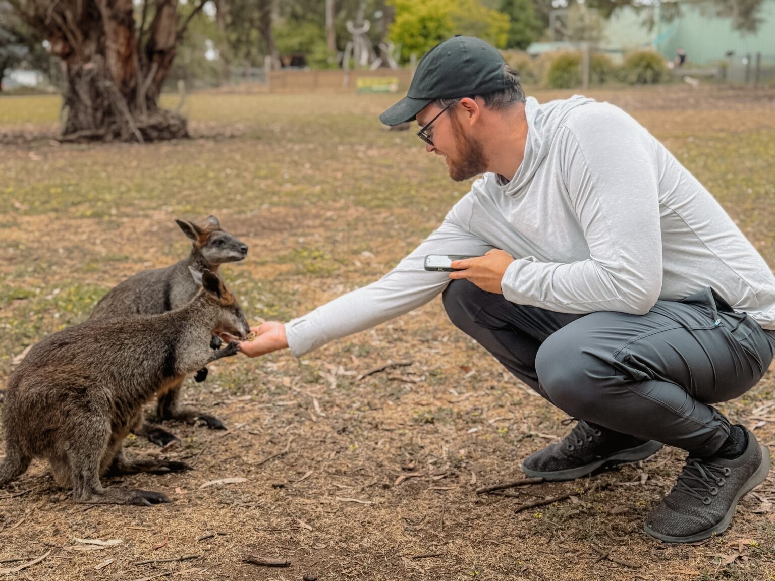 A man feeding two wallabies out of his hand when visiting Kangaroo Island