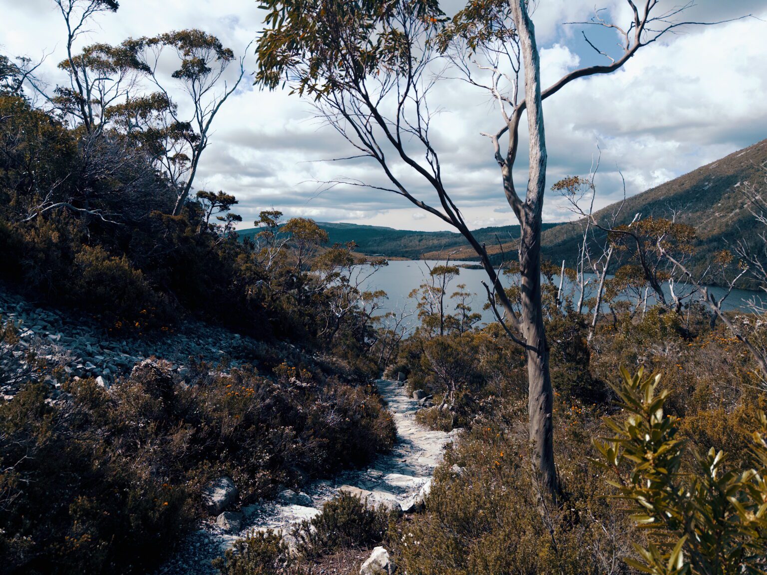 A path leading through brush and trees to a lake with mountains behind - walks in cradle mountain