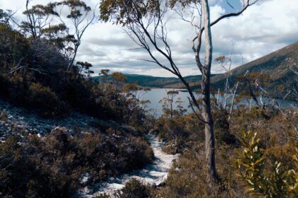 A path leading through brush and trees to a lake with mountains behind - walks in cradle mountain