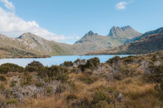 A low brush around a lake with mountains behind it - Tasmania travel guide