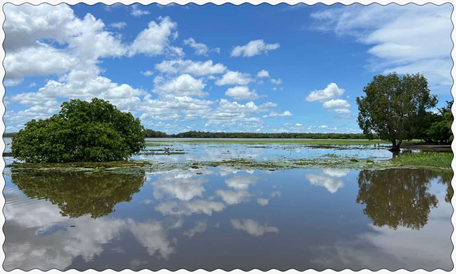 The floodplains of the Yellow River region of Kakadu National Park. You never know if there's a crocodile lurking under the surface