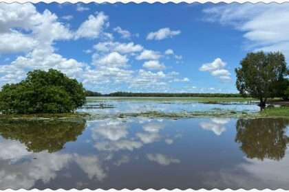 The floodplains of the Yellow River region of Kakadu National Park. You never know if there's a crocodile lurking under the surface