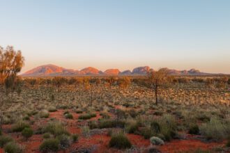 The rock formation of Kata Tjuta behind some low brush and red dirt at sunrise - what to do in uluru