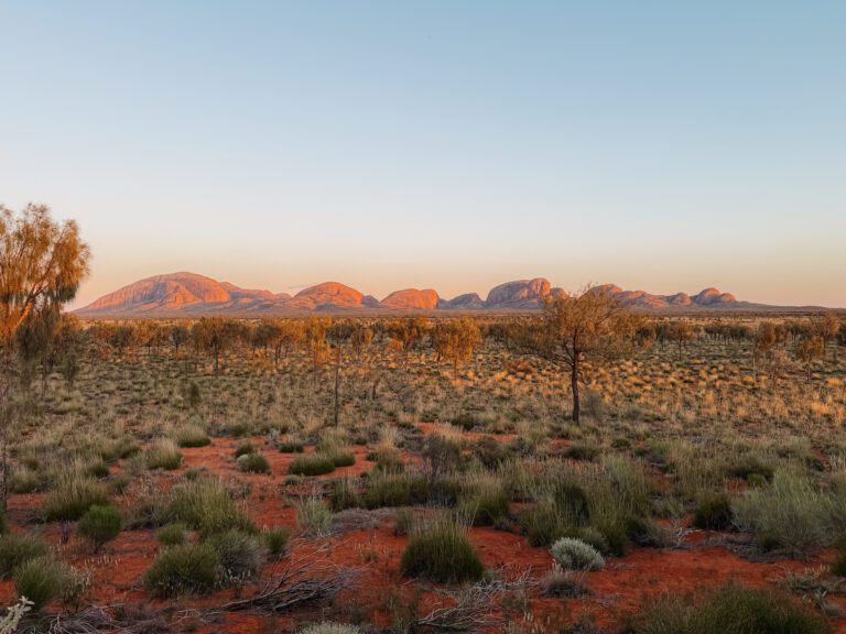 The rock formation of Kata Tjuta behind some low brush and red dirt at sunrise - what to do in uluru