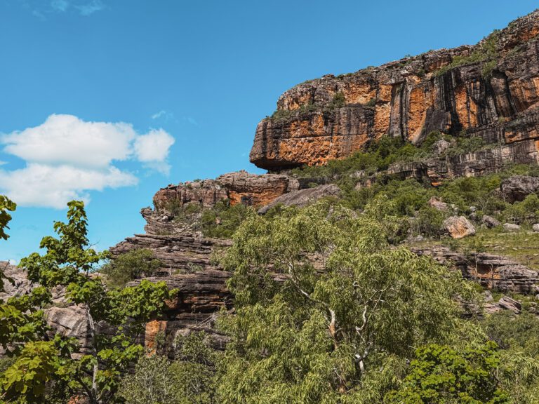 A rock formation over a forest as seen in 1 day Kakadu tours