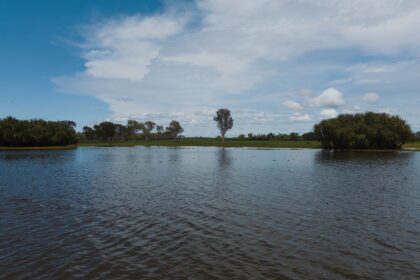 Flooded land with trees coming out - 1 Day Kakadu Tours from Darwin