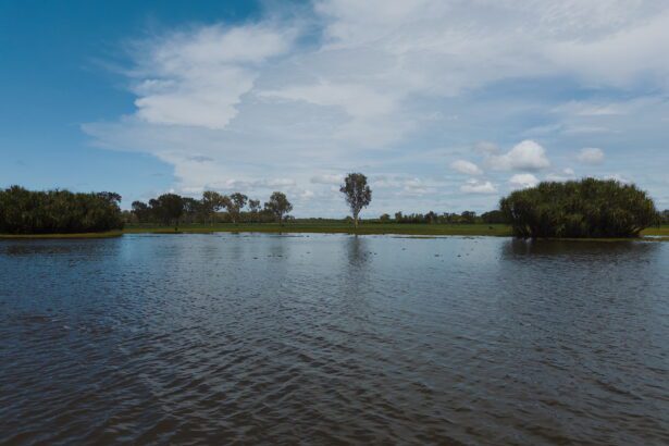 Flooded land with trees coming out - 1 Day Kakadu Tours from Darwin