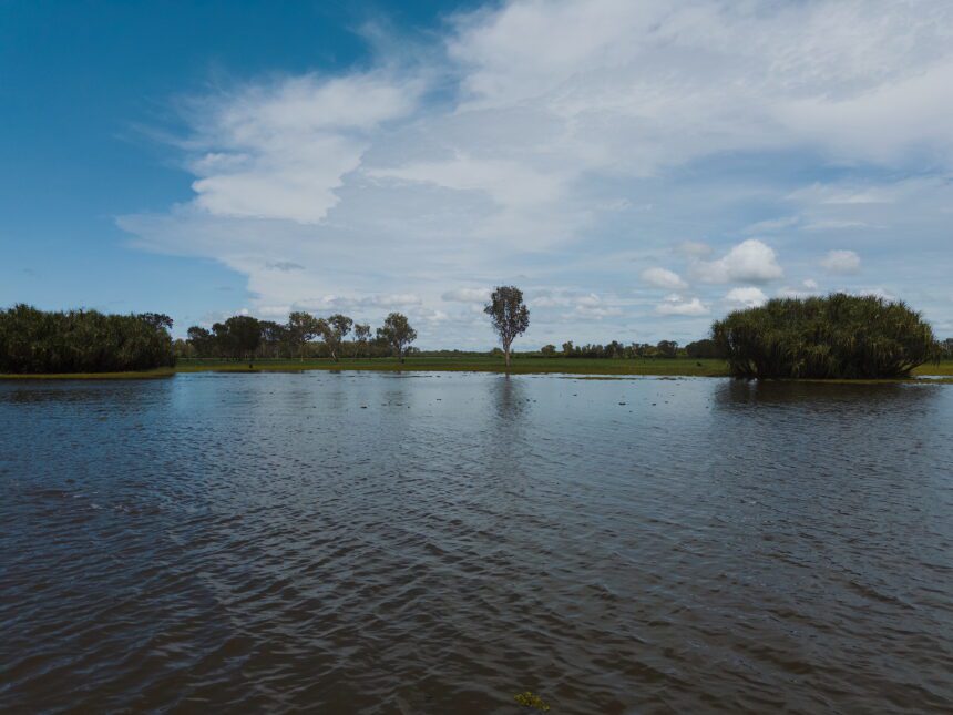 Flooded land with trees coming out - 1 Day Kakadu Tours from Darwin