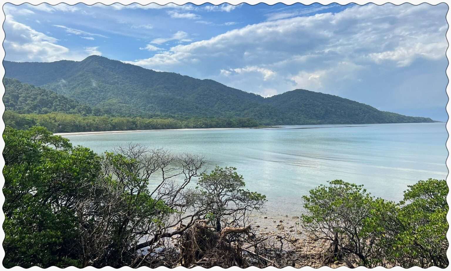 The location where the rainforest meets the reef outside of Cairns, Australia