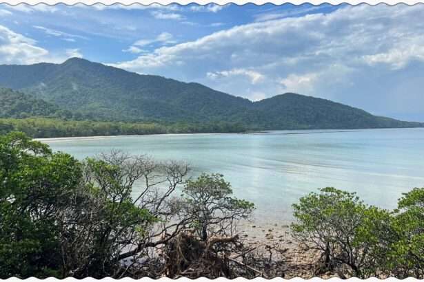 The location where the rainforest meets the reef outside of Cairns, Australia