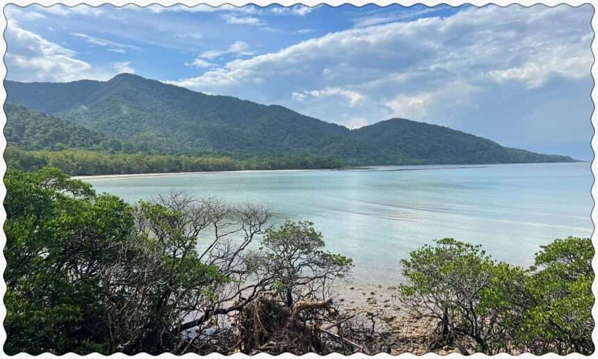 The location where the rainforest meets the reef outside of Cairns, Australia