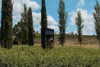 Vineyard entrance - hunter valley day trip from Sydney