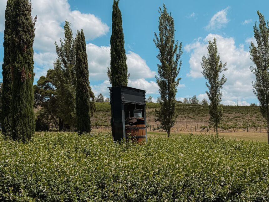 Vineyard entrance - hunter valley day trip from Sydney