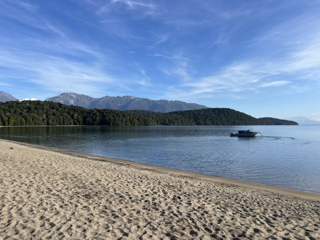 A beach along a lake near Milford Sound