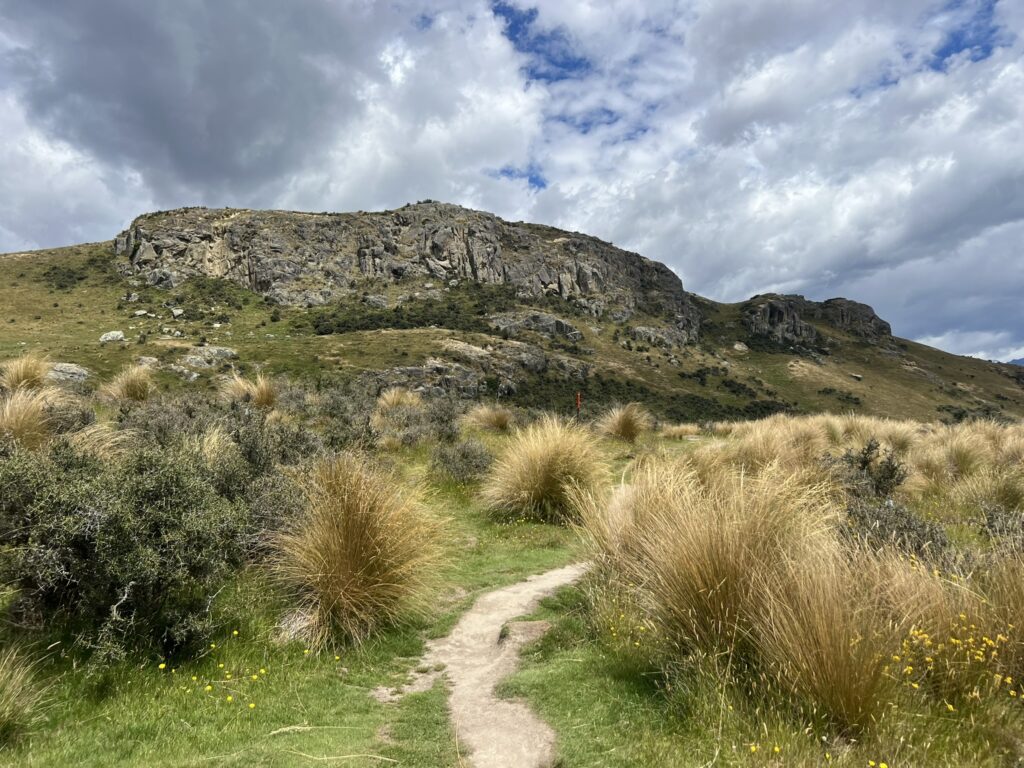 Looking up a hill covered in grass, small shrubs, and rocks on a trip from Christchurch to Dunedin