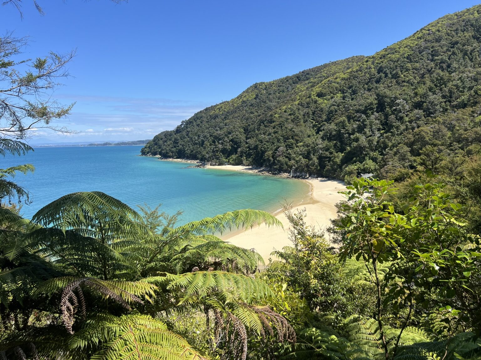 Overlooking a tropical beach from a hill in Abel Tasman National Park