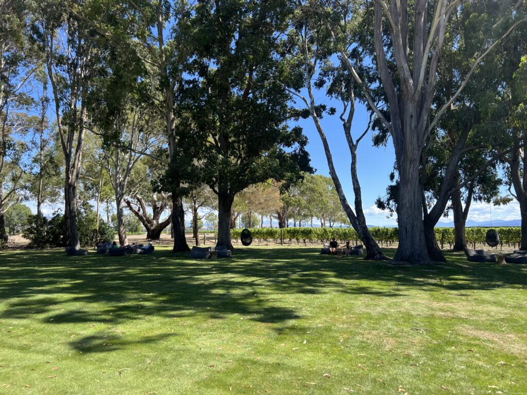 A large lawn in front of large trees with a wine vineyard behind