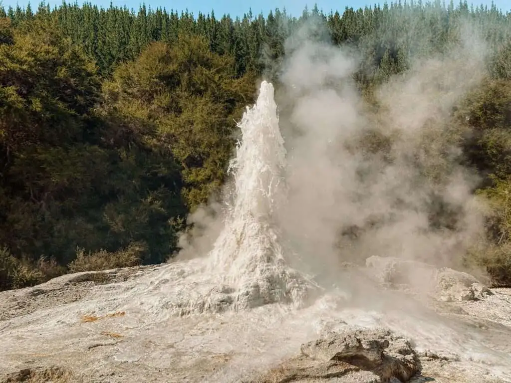 A geyser going off a few feet in the air as part of a Rotorua itinerary and a good way to compare the south island vs north island