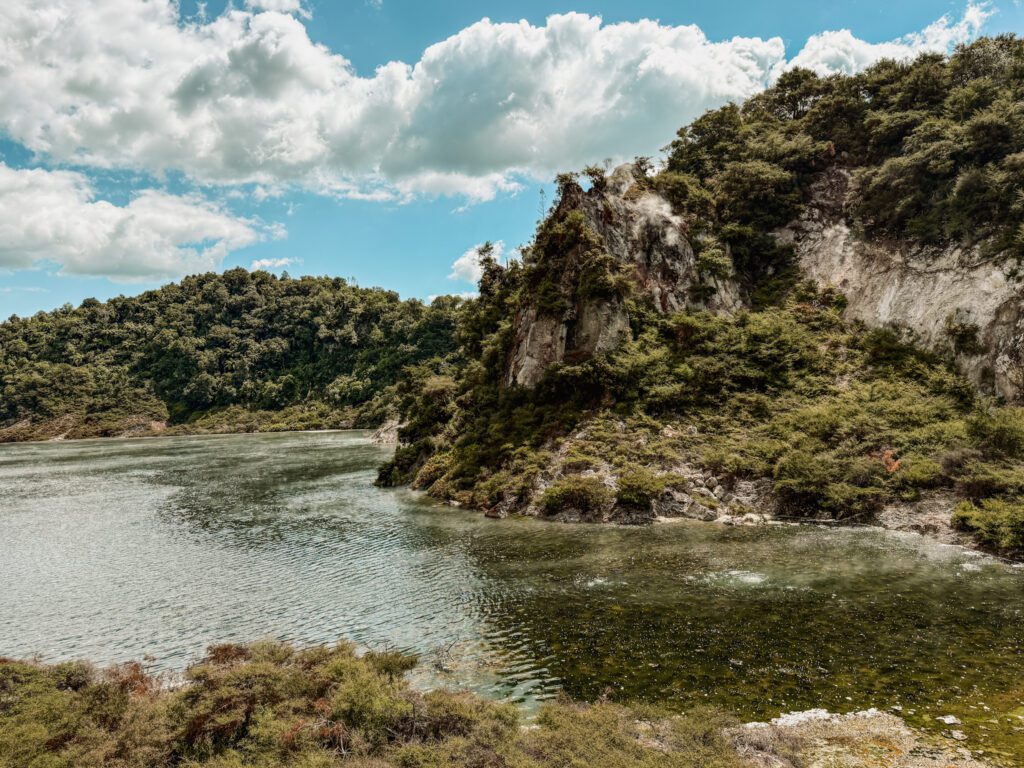 A river flowing beneath a forested hill in Rotorua