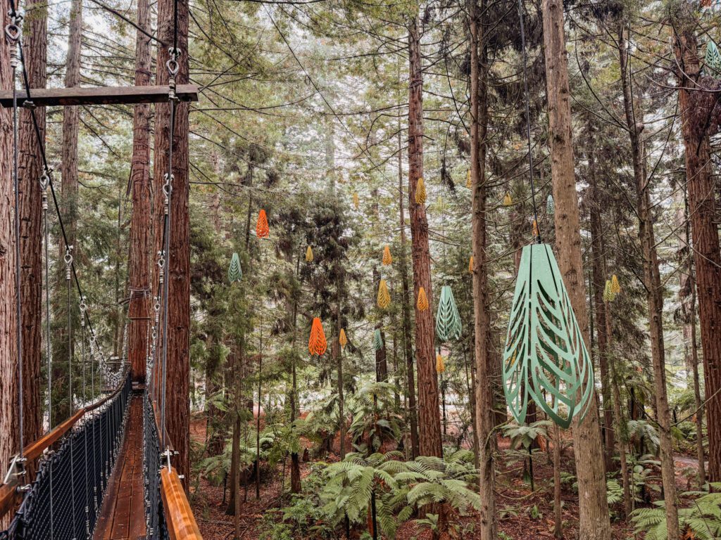 A suspension bridge in a redwood forest with lights hanging from the trees in Rotorua
