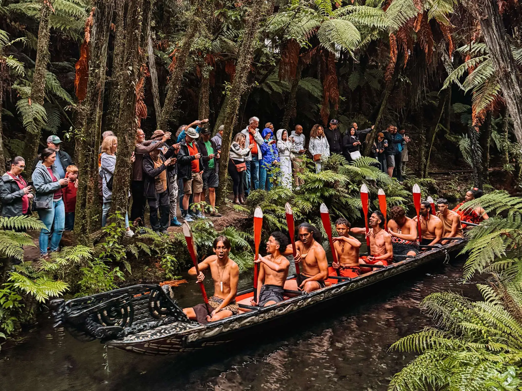 Men in a canoe going down a river in the rainforest as part of a Rotorua itinerary on the North Island