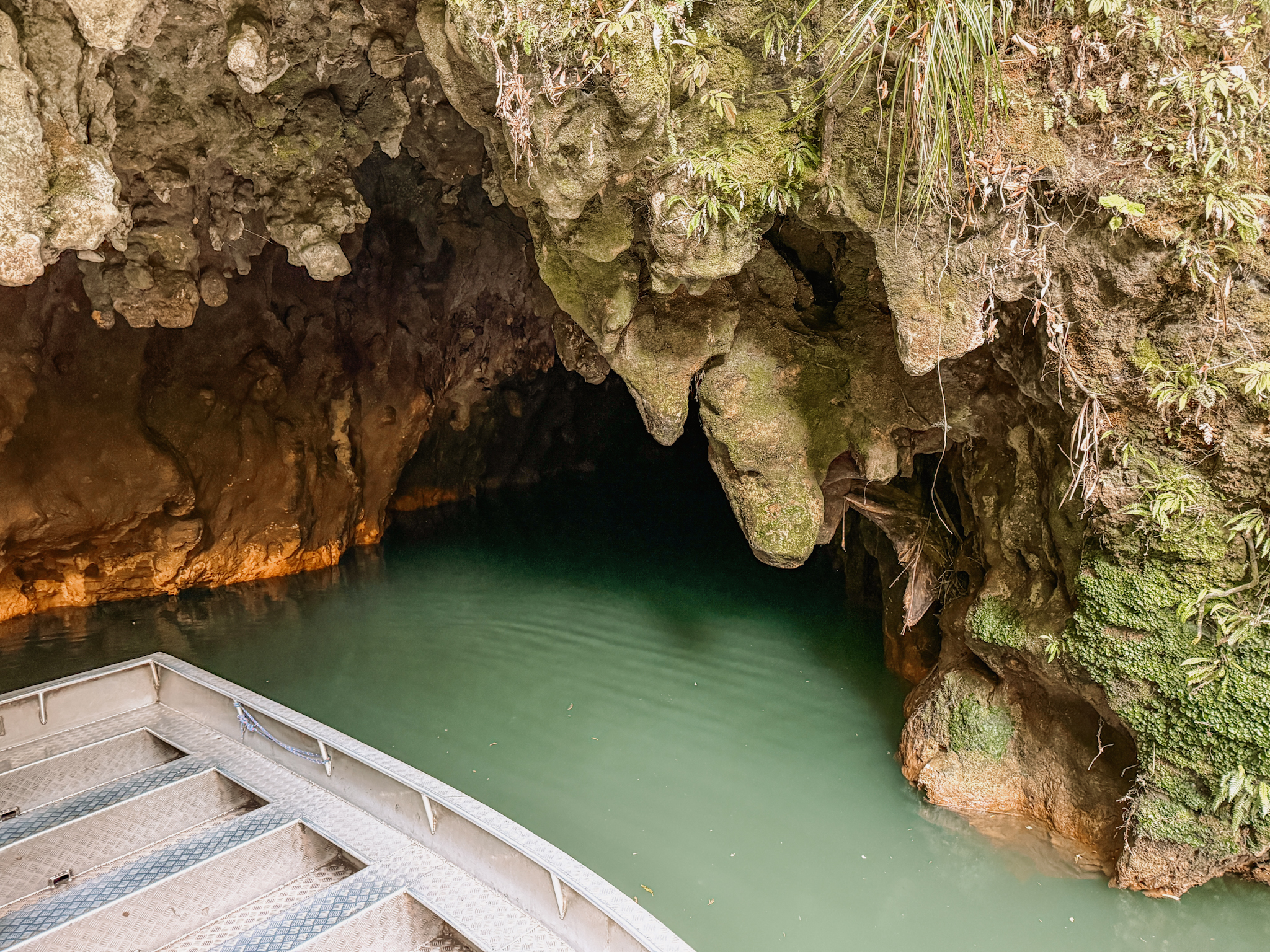 A small boat coming out of a cave and visited as part of a Rotorua itinerary
