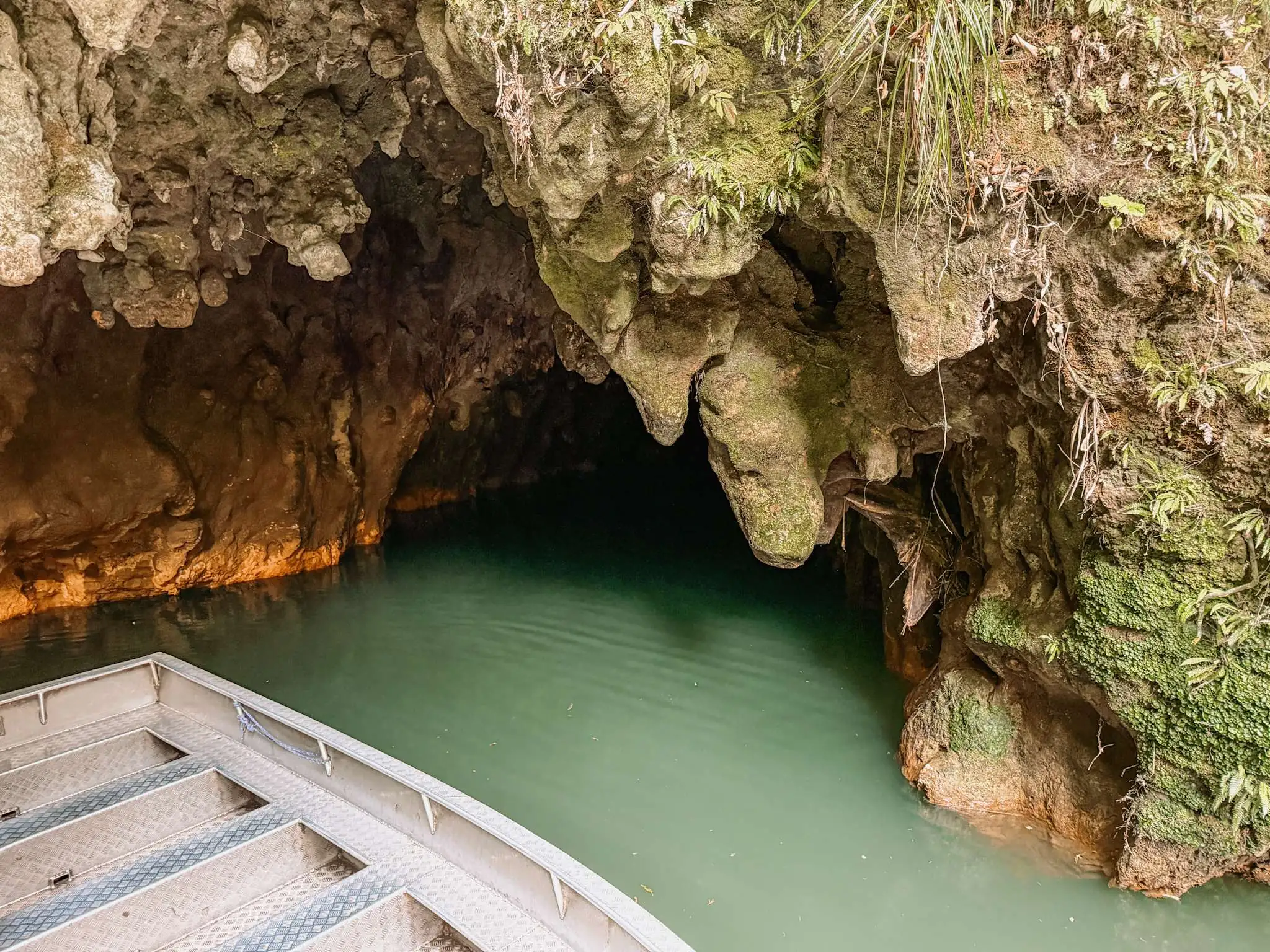 A small boat coming out of a cave and visited as part of a Rotorua itinerary