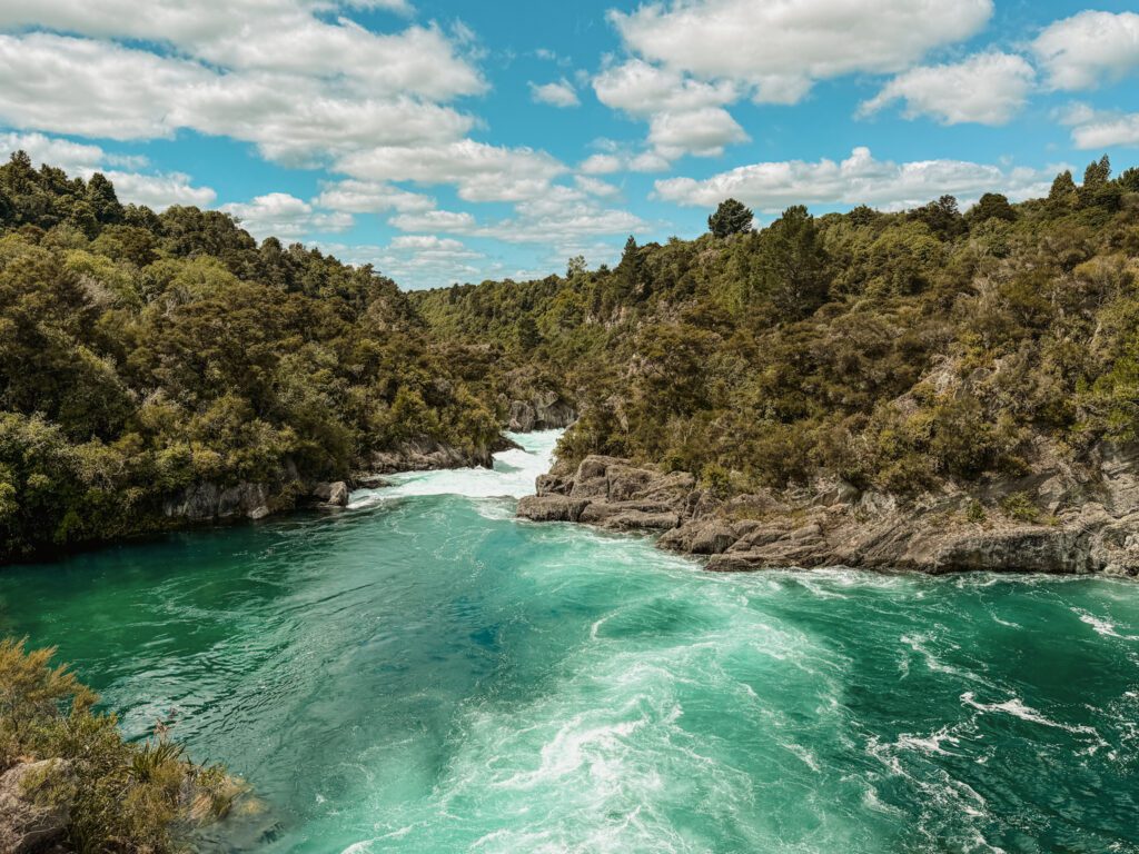 A river with rapids flowing through a forest in Taupo