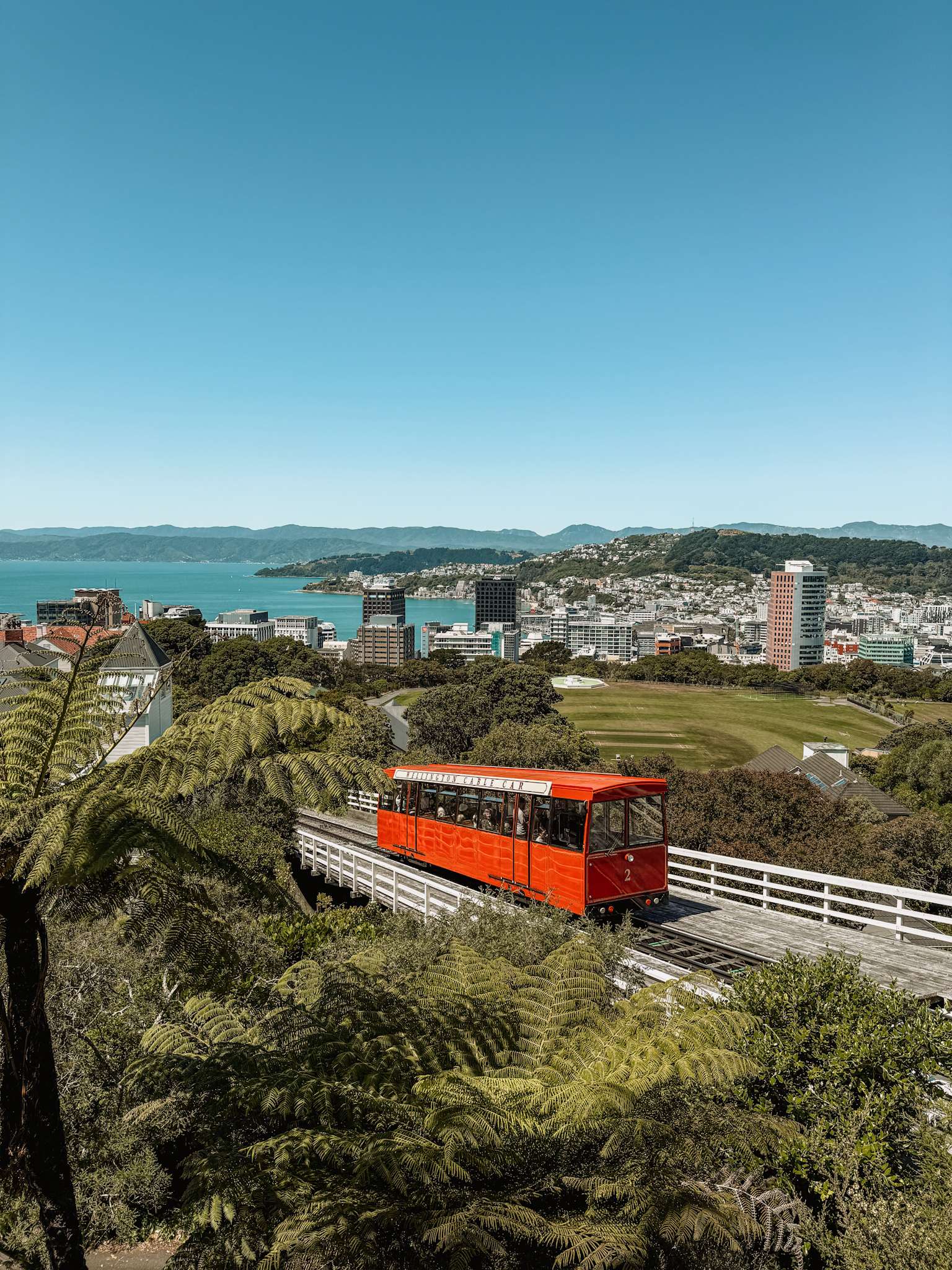 A red cable car going up a hill with a bay in the background - Wellington itinerary